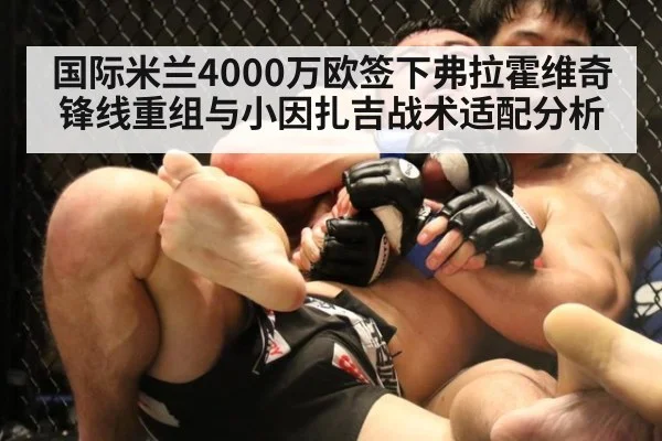 国际米兰4000万欧签下弗拉霍维奇锋线重组与小因扎吉战术适配分析